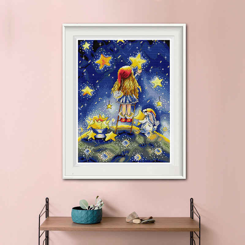 Girl Picking Stars DIY Hand Co - Embroidery Tas recension och pris