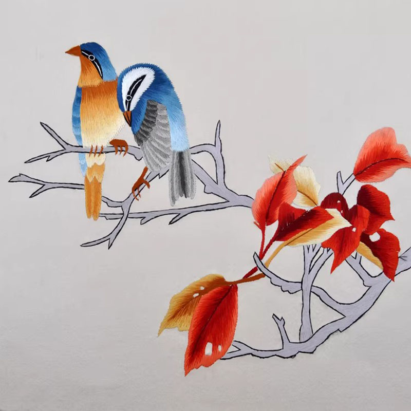 Chinese Suzhou Embroidery Kit  - Embroidery Running Stitch recension och pris